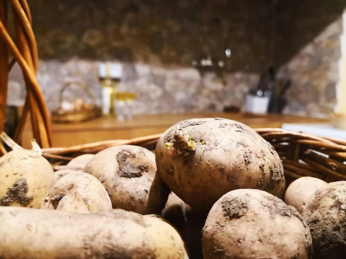 Casa Rural Los Organos De Arguamul Vallehermoso Εξωτερικό φωτογραφία